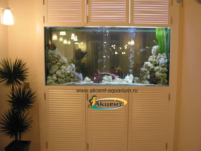 Акцент-аквариум, аквариум просмотровый 1000 литров, вид со стороны комнаты